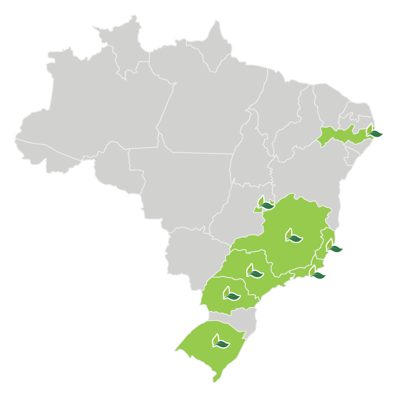 Mapa de presença MedSênior no Brasil — 9 regiões